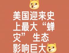 世俱杯直播-关于一场紧张的对抗即将展开，谁将笑到最后？的信息
