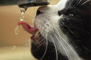 世俱杯2025-浓眉擎天，深圳强行终结吉林连胜神话