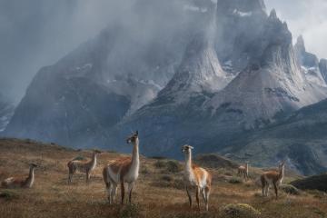 世俱杯-钢铁骑士踏平北岸花园，死神镰刀收割全场目光