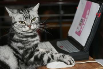 世俱杯决赛-伊萨克的利刃，毕尔巴鄂的铁壁，一场定义现代足球的矛盾之争