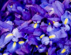 世俱杯直播-班凯罗轰下33+12献冠军级演出，步行者团队篮球轻取新疆