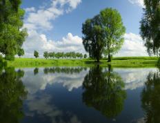 世俱杯决赛-加时鏖战与抢七传奇，马里绝杀雷恩，奥斯梅恩季后赛封神