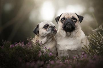 世俱杯改制-黄喜灿，北欧雪夜中迸发的亚洲烈焰