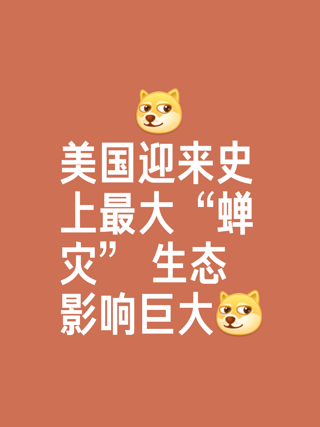 世俱杯直播-关于一场紧张的对抗即将展开，谁将笑到最后？的信息