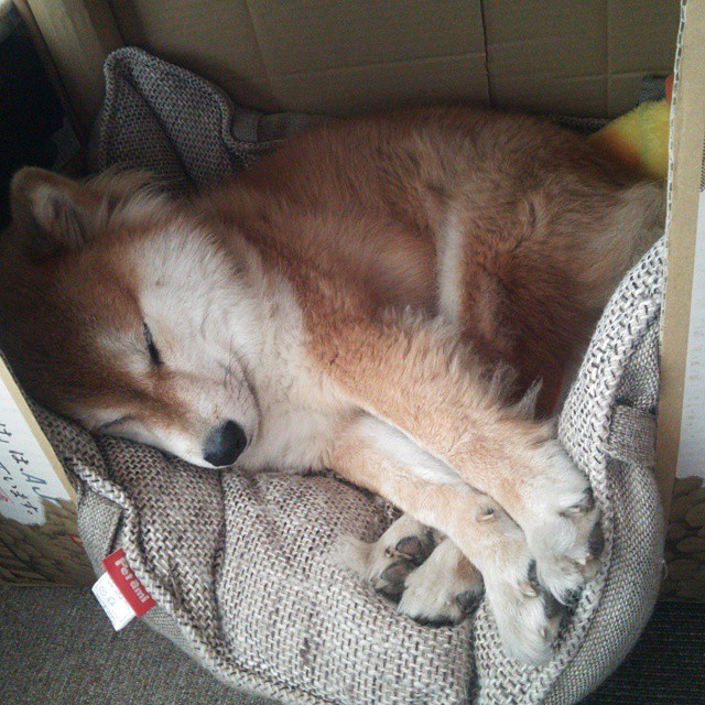 世俱杯2025-速度与激情交织的体育盛宴，F1新赛季揭幕战引爆全球，快船加时鏖战力克雄鹿