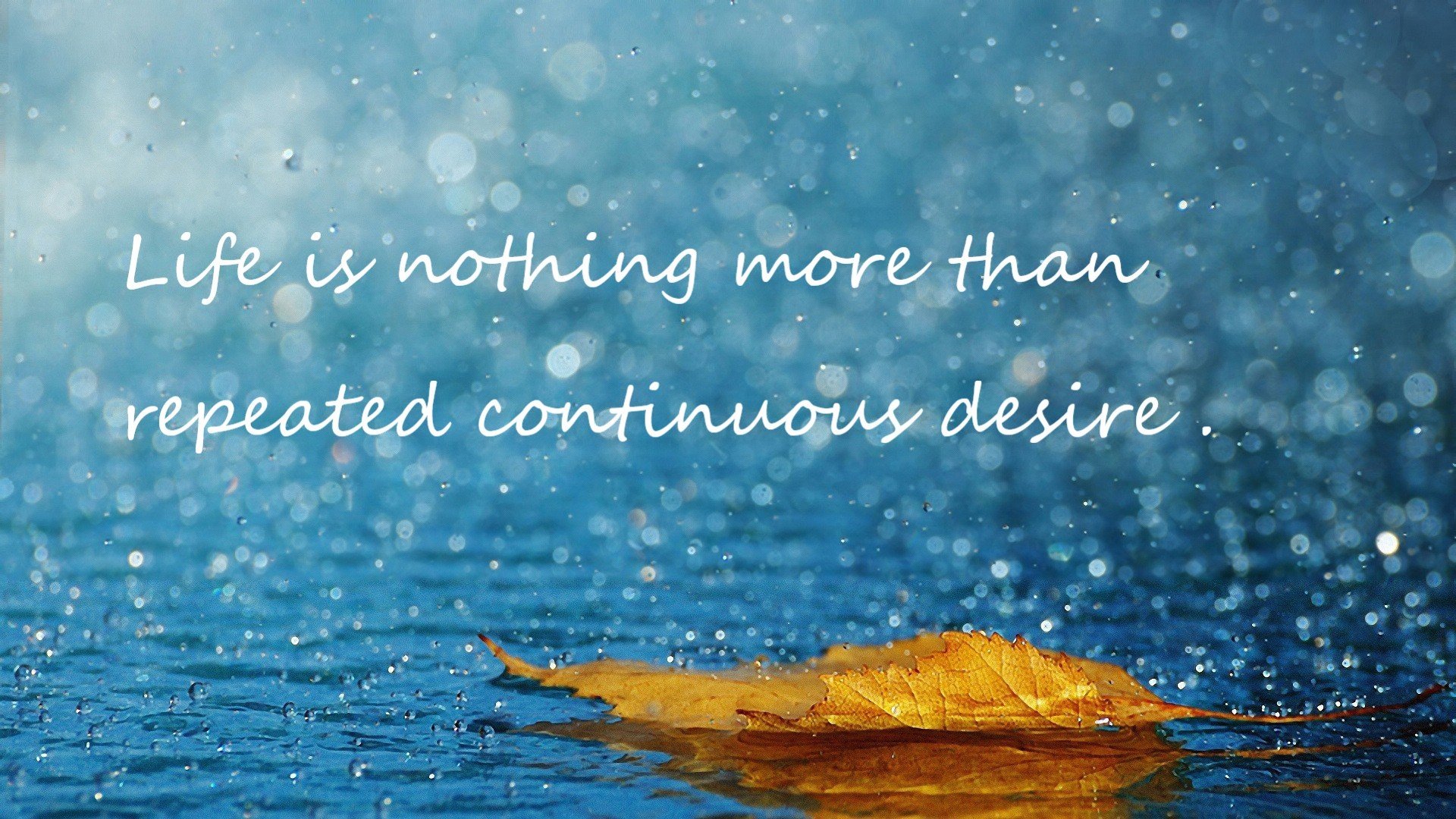 世俱杯参赛资格-神兵天降！范弗利特生死战导演铁血突围，篮网逆天改命击碎凯尔特人