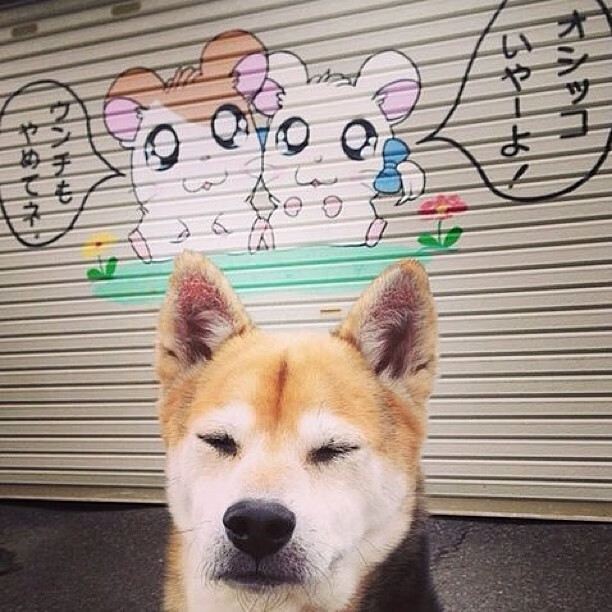 世俱杯分组-福克斯关键回合不手软，快船逆转尼克斯，一战定乾坤