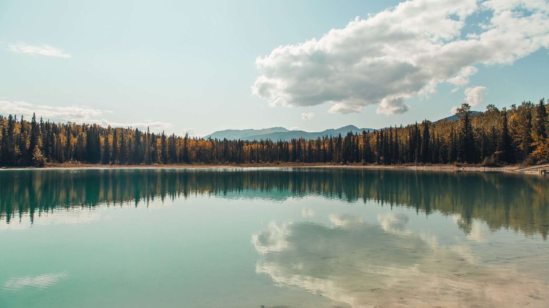 世俱杯时间-爵士末节风暴与字母哥的F1霸权，体育关键时刻的跨界交响