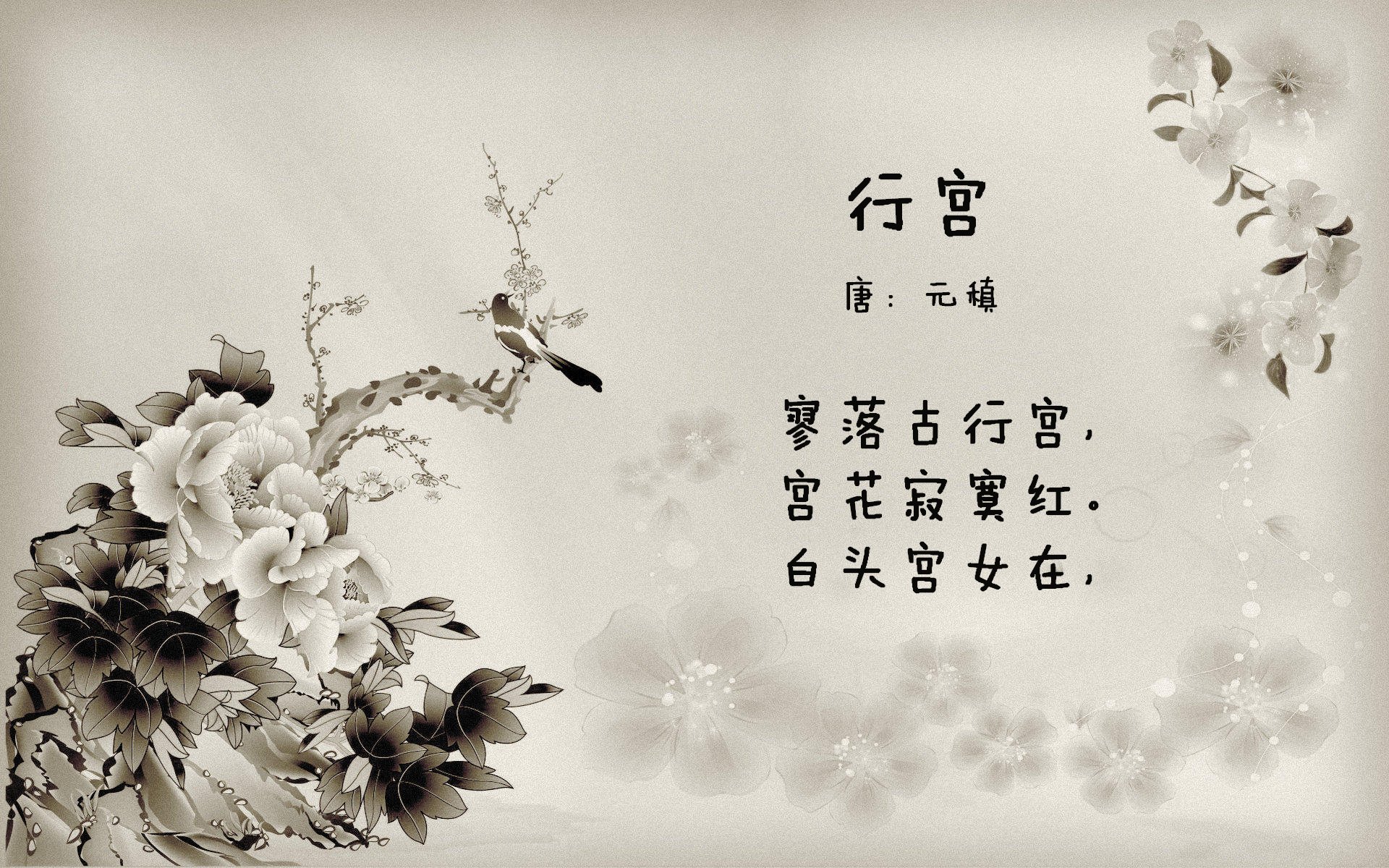 世俱杯赛程-球场两端的魔术师，当奇才力克猛龙，保罗在意甲焦点战接管比赛