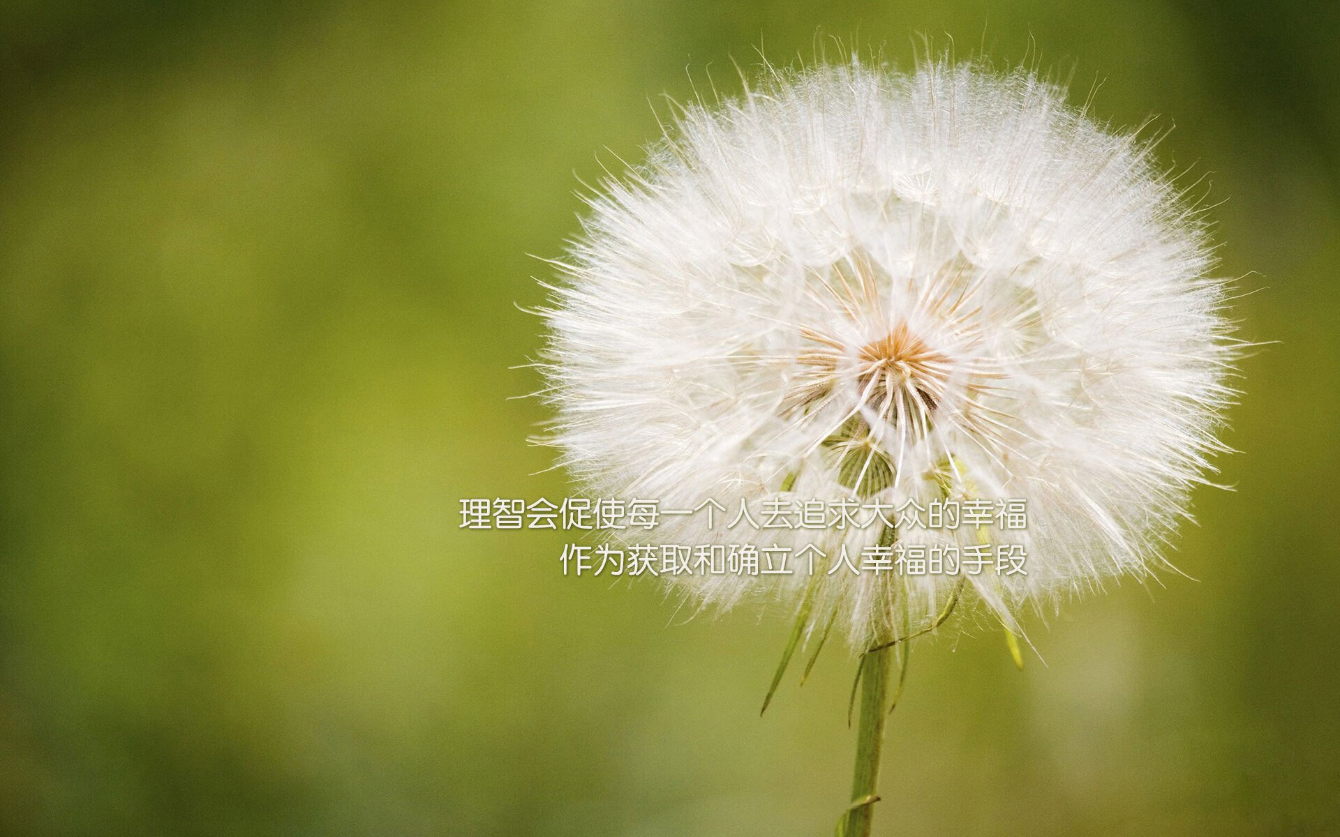 世俱杯决赛-欧冠淘汰赛焦点战，芬兰劲旅压哨绝杀贝蒂斯，谱写黑马传奇