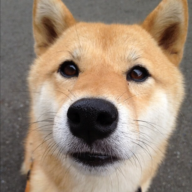 世俱杯改制-南非惊天逆转曼联，阿什拉夫绝杀成关键先生